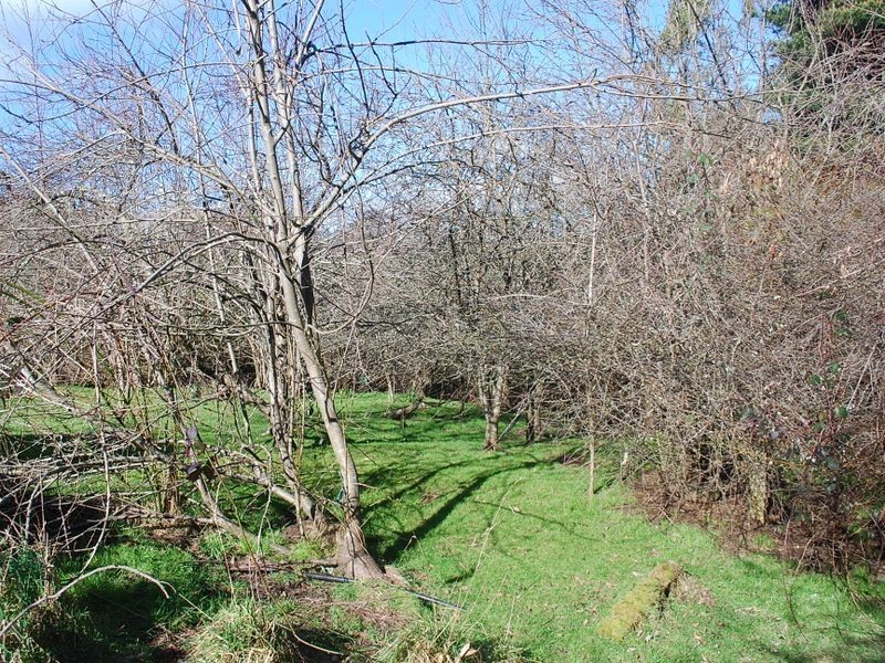 16717 Bass Highway, Flowerdale TAS 7325