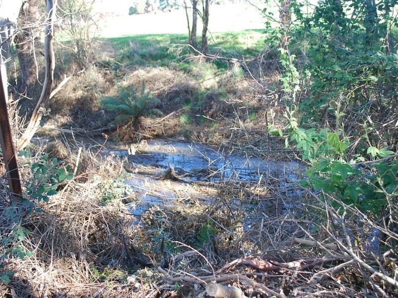 16717 Bass Highway, Flowerdale TAS 7325