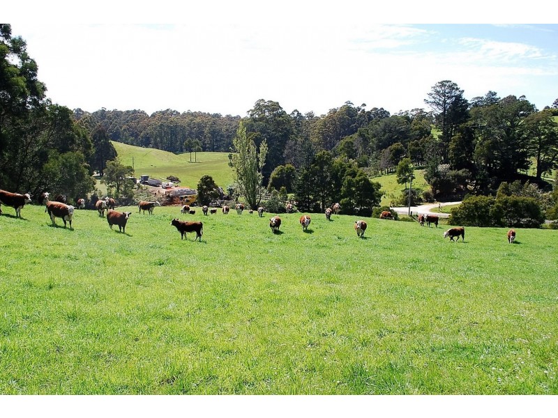 . Lapoinya Road, Lapoinya TAS 7325