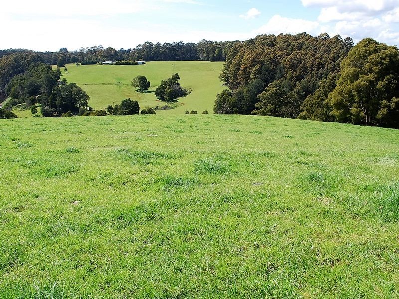 . Lapoinya Road, Lapoinya TAS 7325