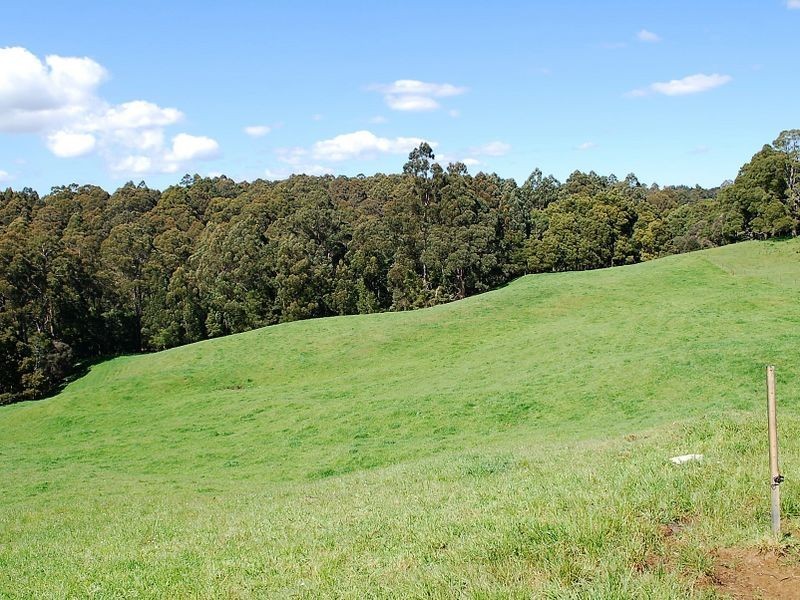 . Lapoinya Road, Lapoinya TAS 7325