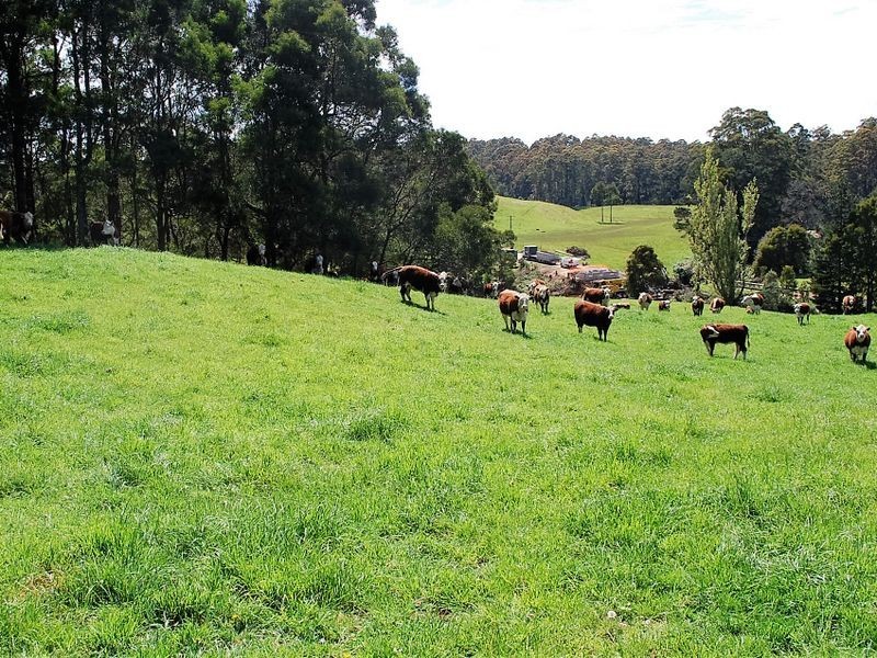 . Lapoinya Road, Lapoinya TAS 7325