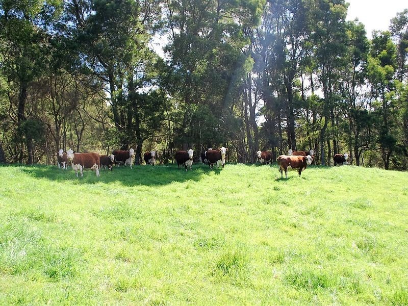 . Lapoinya Road, Lapoinya TAS 7325