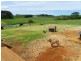 832 Montumana Road, Montumana TAS 7321