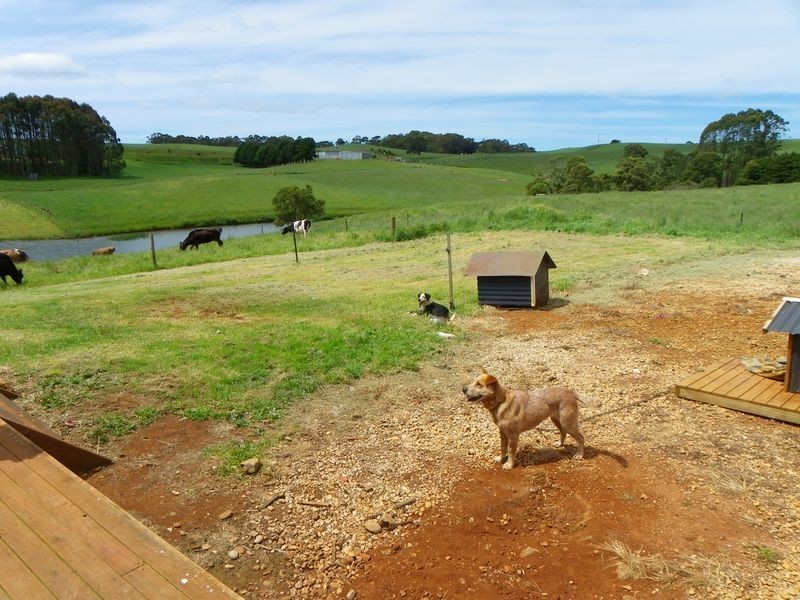 832 Montumana Road, Montumana TAS 7321