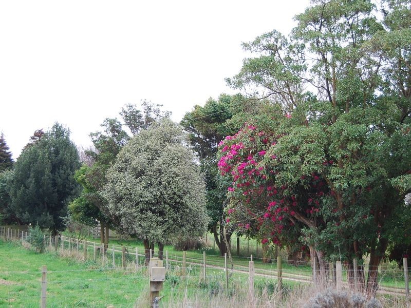 17463 Bass Highway, Boat Harbour TAS 7321