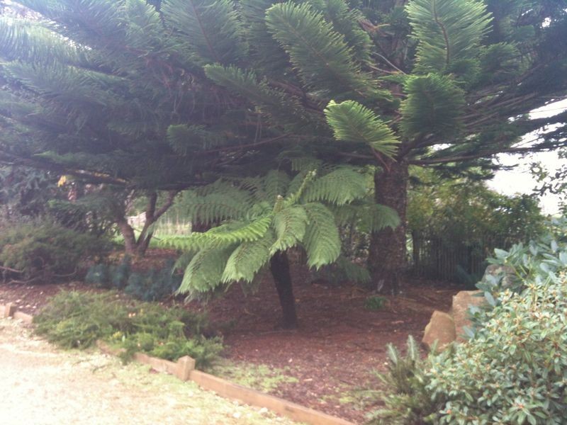 30 Dobsons Lane, Boat Harbour TAS 7321