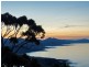 494 Tollymore Road, Table Cape TAS 7325