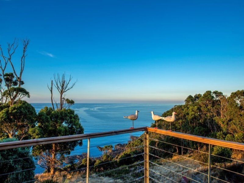 494 Tollymore Road, Table Cape TAS 7325