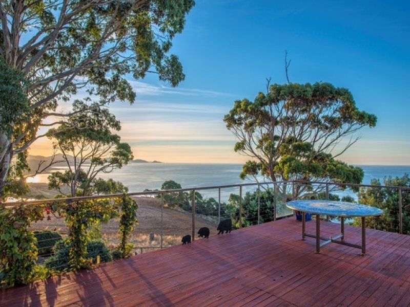 494 Tollymore Road, Table Cape TAS 7325