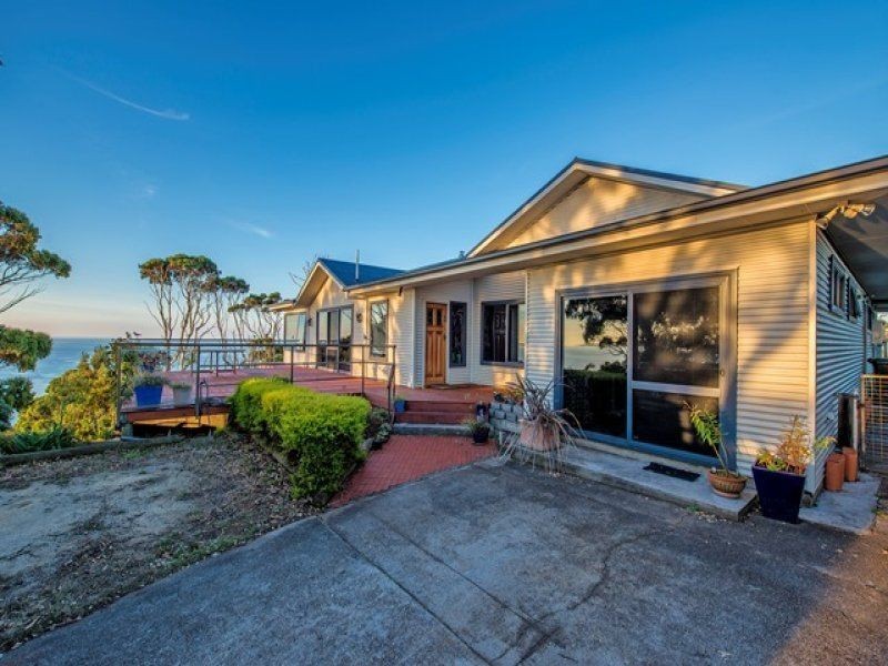 494 Tollymore Road, Table Cape TAS 7325