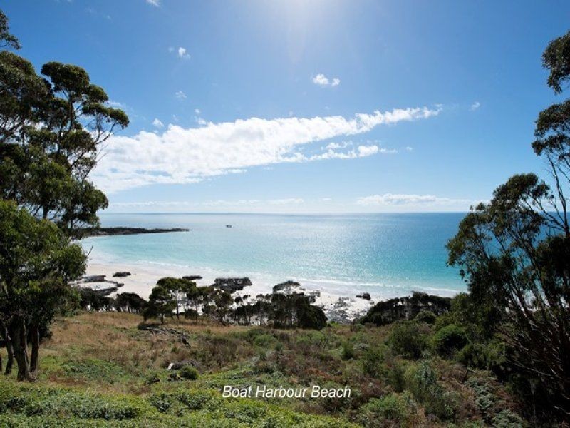 494 Tollymore Road, Table Cape TAS 7325