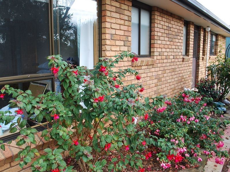 2/5 Jones Court, Wynyard TAS 7325