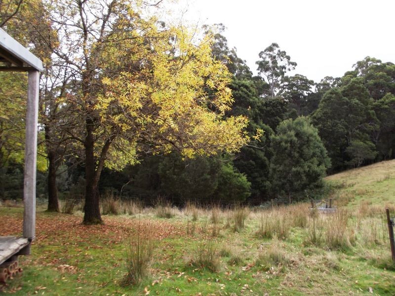 1538 Preolenna Road, Moorleah TAS 7325
