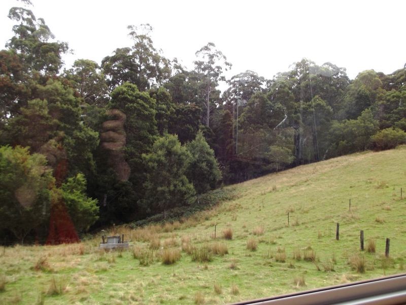 1538 Preolenna Road, Moorleah TAS 7325
