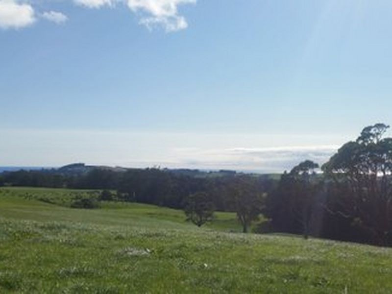 1051 Mt Hicks Road, Mount Hicks TAS 7325