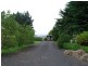 186 Old Mount Hicks Road, Mount Hicks TAS 7325