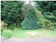 186 Old Mount Hicks Road, Mount Hicks TAS 7325