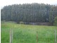 186 Old Mount Hicks Road, Mount Hicks TAS 7325