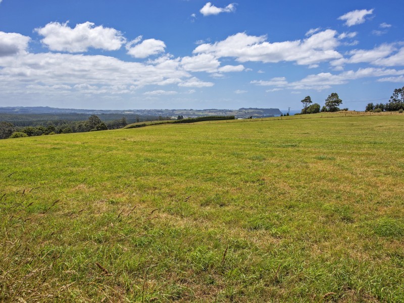 116 Old Mount Hicks Road, Wynyard TAS 7325