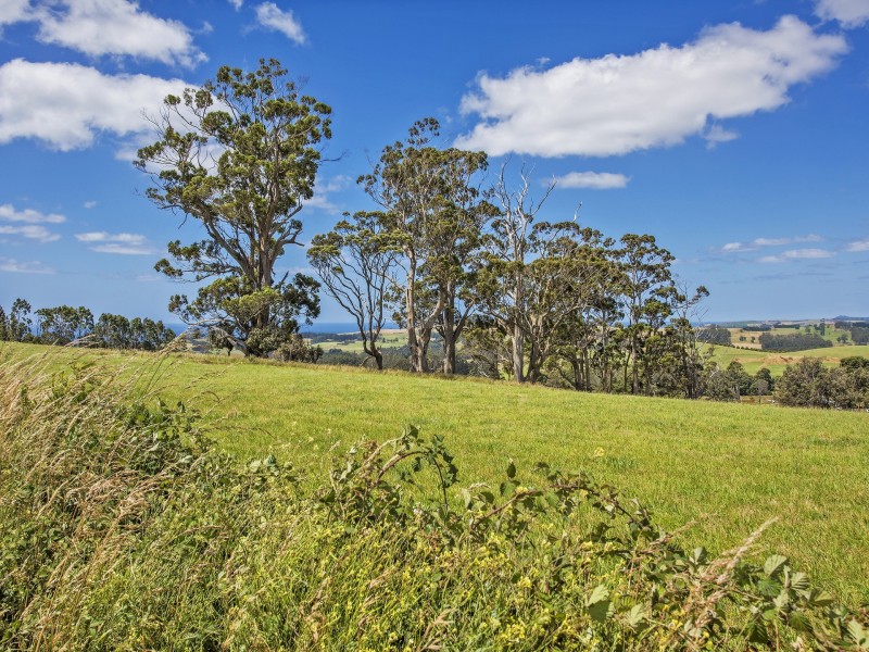 116 Old Mount Hicks Road, Wynyard TAS 7325