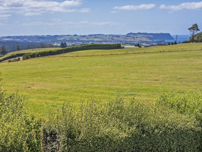 116 Old Mount Hicks Road, Wynyard TAS 7325