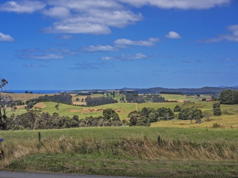 116 Old Mount Hicks Road, Wynyard TAS 7325