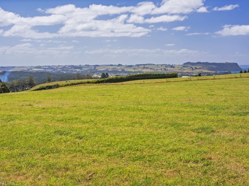 116 Old Mount Hicks Road, Wynyard TAS 7325