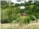 2045 Preolenna Road, Preolenna TAS 7325