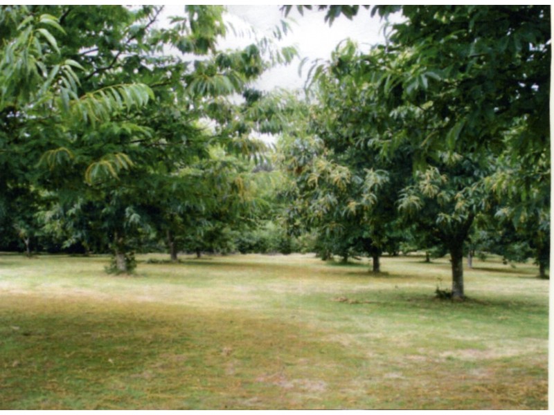 2045 Preolenna Road, Preolenna TAS 7325