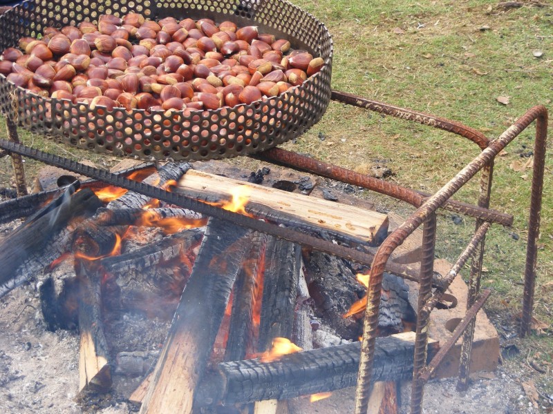 2045 Preolenna Road, Preolenna TAS 7325