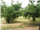 2045 Preolenna Road, Preolenna TAS 7325