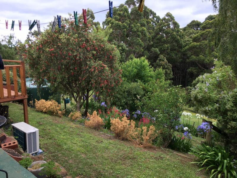 108 Lyons Road, Lapoinya TAS 7325