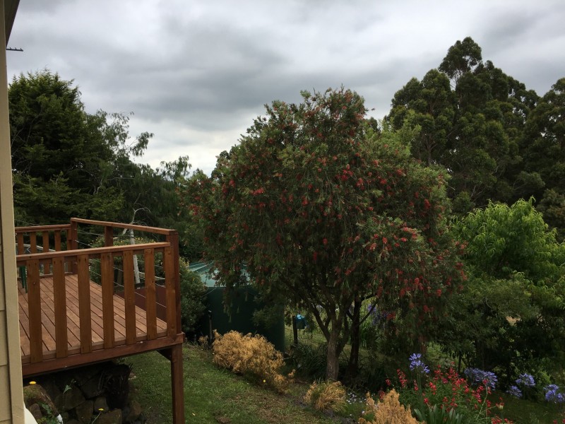 108 Lyons Road, Lapoinya TAS 7325