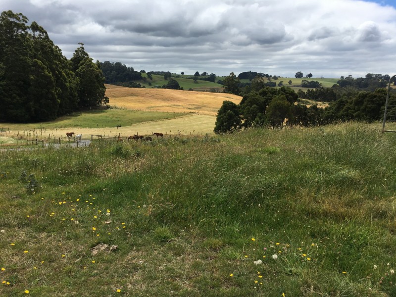 108 Lyons Road, Lapoinya TAS 7325