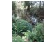 108 Lyons Road, Lapoinya TAS 7325