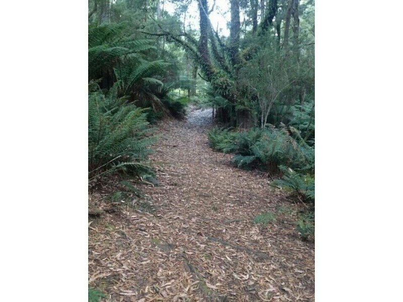 108 Lyons Road, Lapoinya TAS 7325