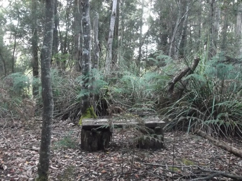 1538 Preolenna Road, Moorleah TAS 7325