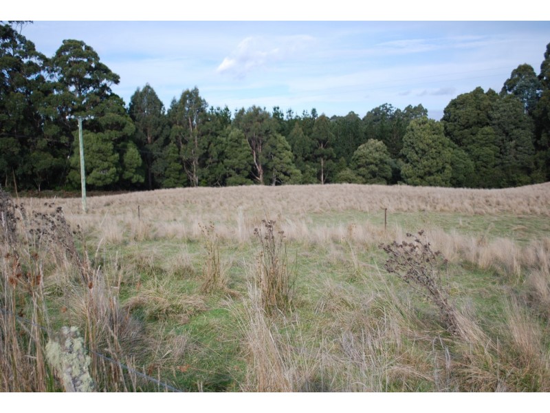 1538 Preolenna Road, Moorleah TAS 7325