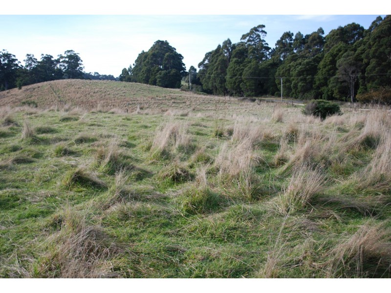 1538 Preolenna Road, Moorleah TAS 7325