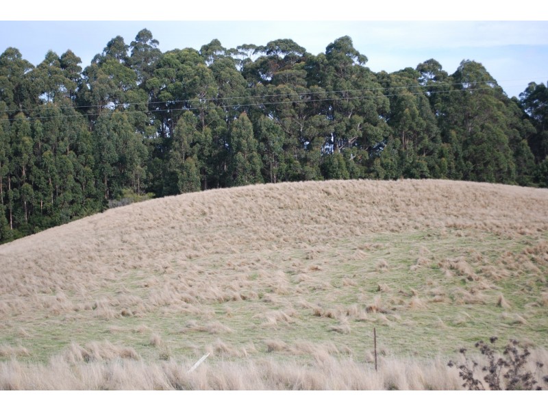 1538 Preolenna Road, Moorleah TAS 7325