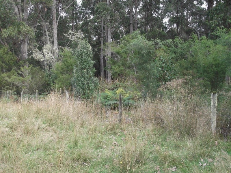 1538 Preolenna Road, Moorleah TAS 7325