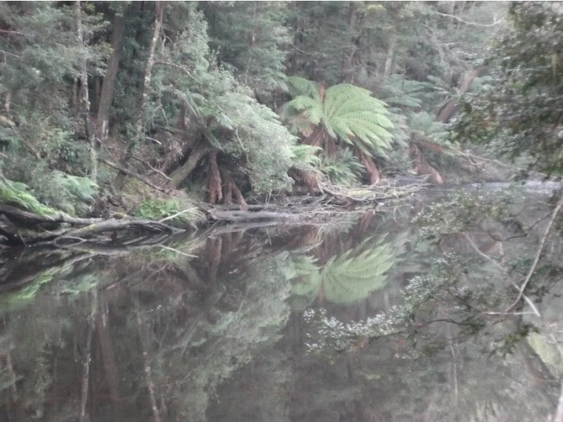 1538 Preolenna Road, Moorleah TAS 7325