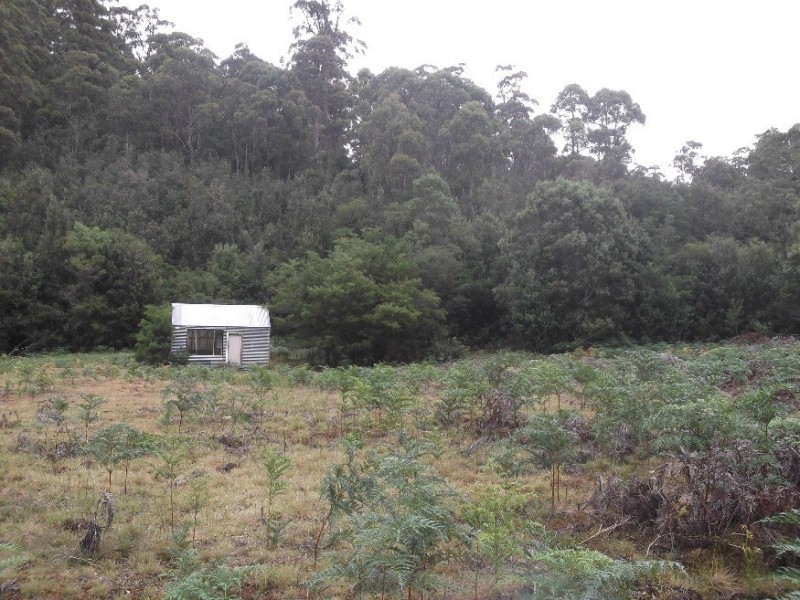 1538 Preolenna Road, Moorleah TAS 7325