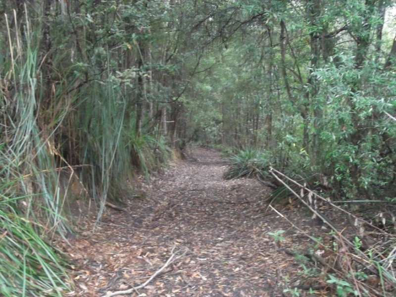 1538 Preolenna Road, Moorleah TAS 7325