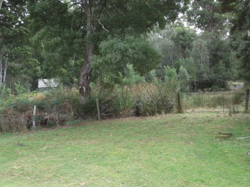 1538 Preolenna Road, Moorleah TAS 7325