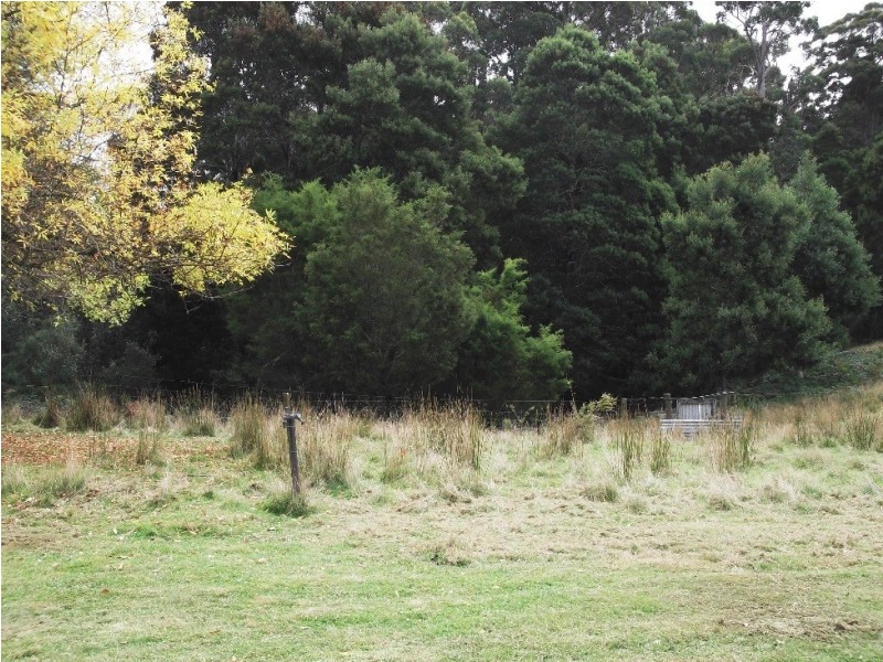 1538 Preolenna Road, Moorleah TAS 7325