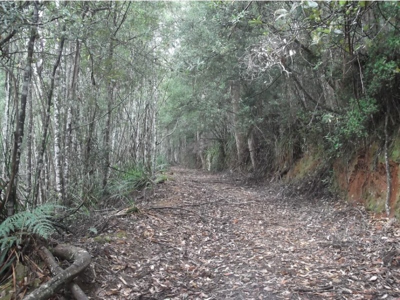 1538 Preolenna Road, Moorleah TAS 7325