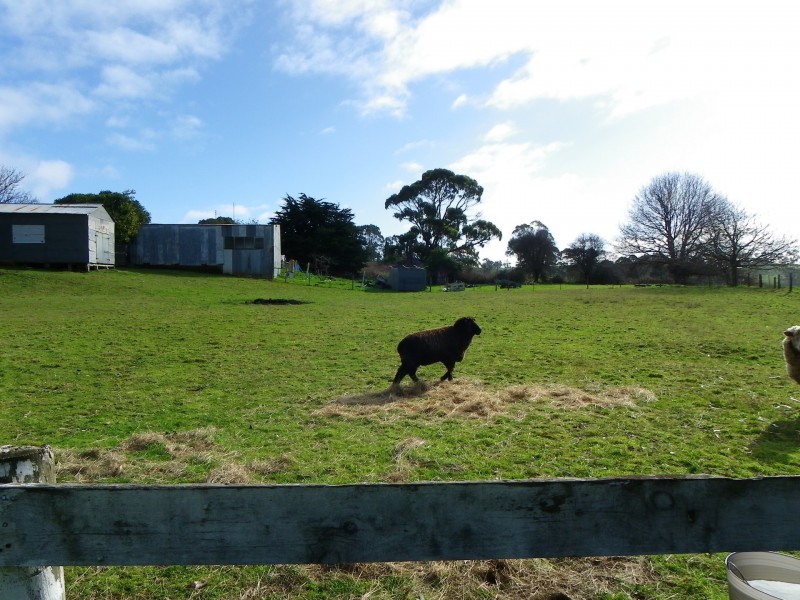 16796 Bass Highway, Flowerdale TAS 7325