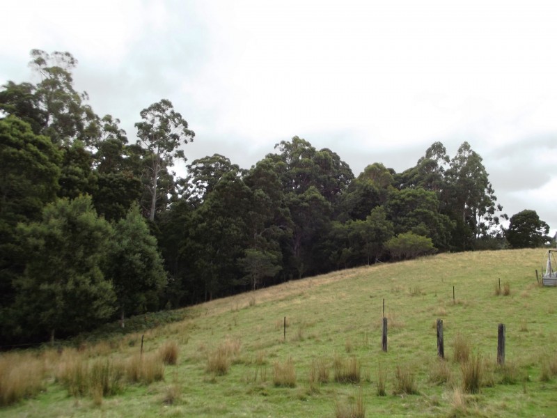 1538 Preolenna Road, Moorleah TAS 7325